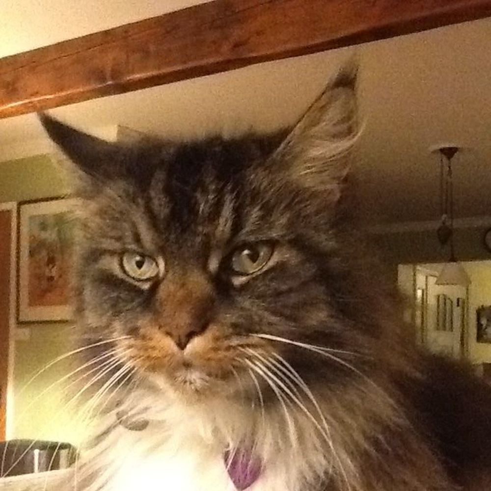 Meet your Posher, Jean